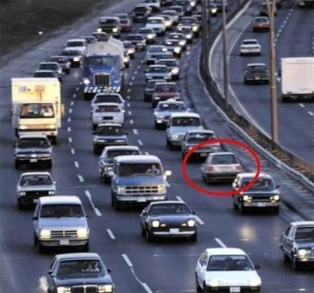 포스트의 이미지