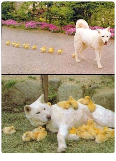 포스트의 이미지