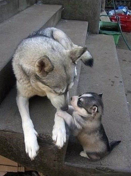 포스트의 이미지