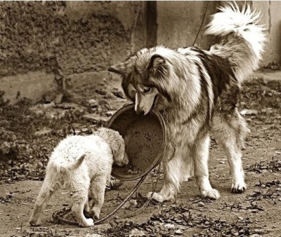 포스트의 이미지