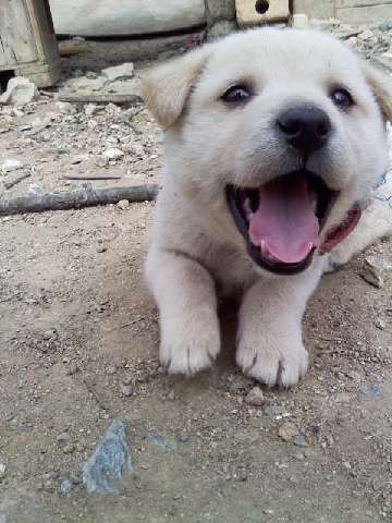 포스트의 이미지