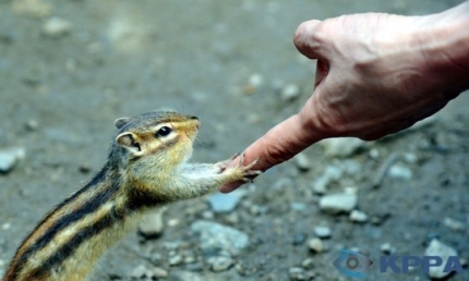 포스트의 이미지