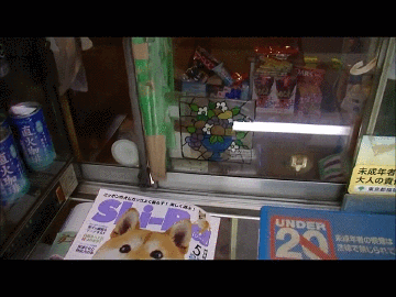 포스트의 이미지