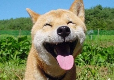 포스트의 이미지