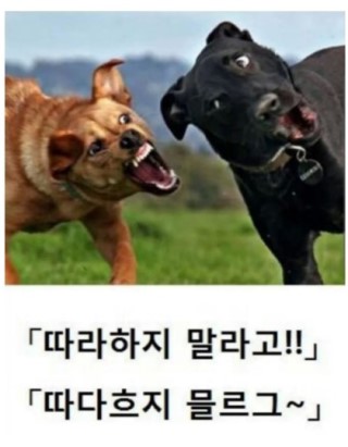 포스트의 이미지