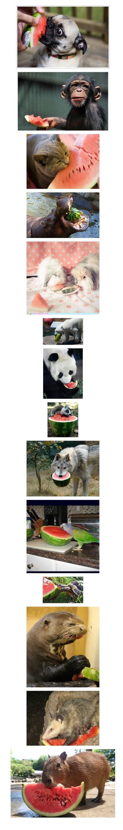 포스트의 이미지