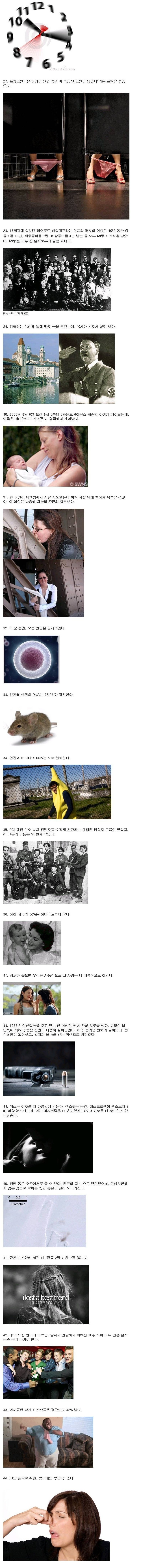 포스트의 이미지