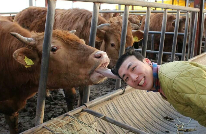 포스트의 이미지