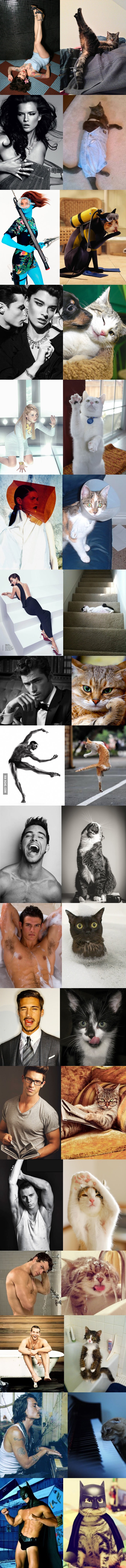 포스트의 이미지