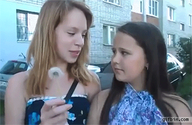 포스트의 이미지