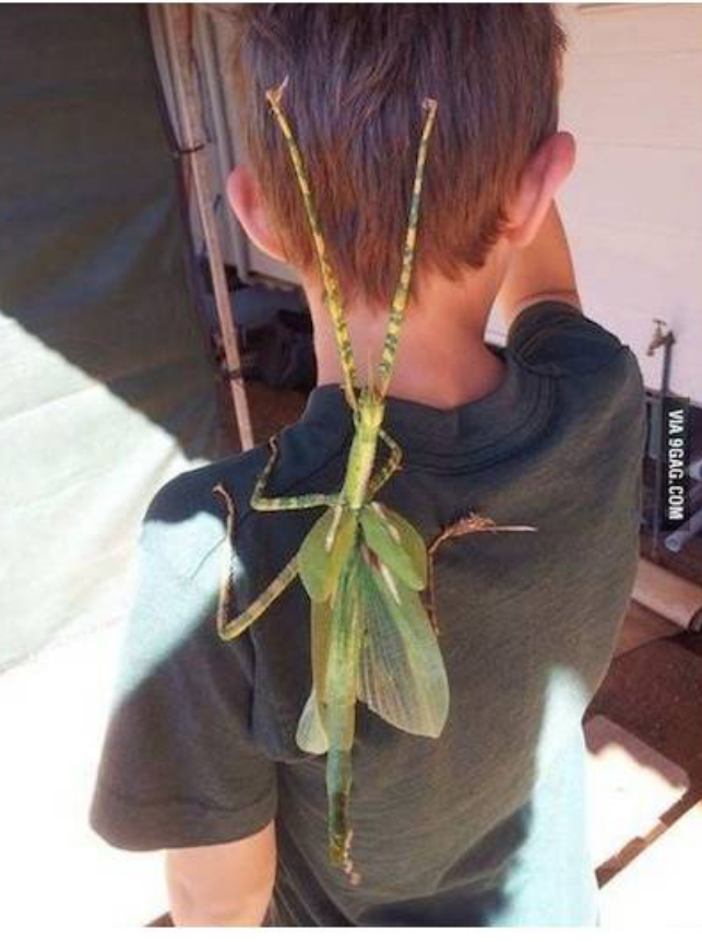 포스트의 이미지