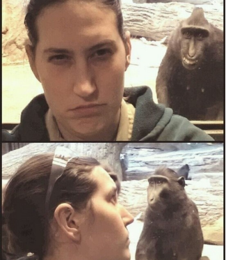 포스트의 이미지