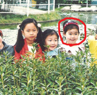 포스트의 이미지