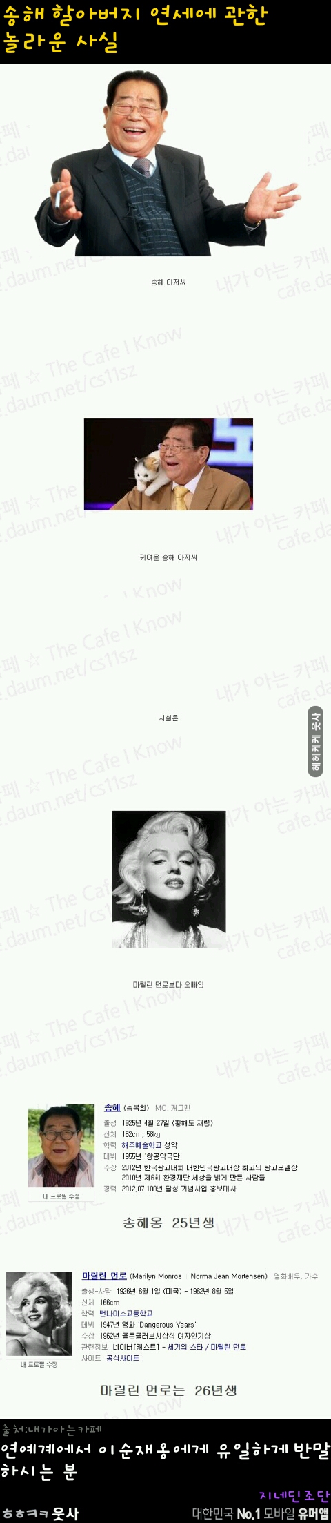 포스트의 이미지