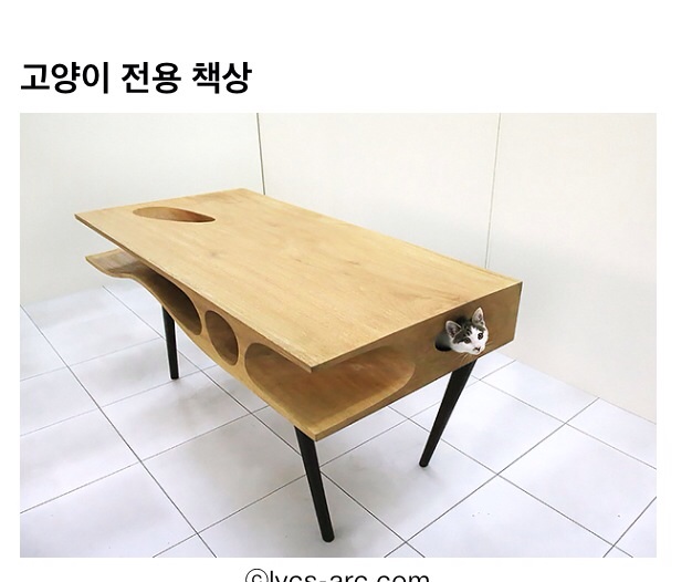 포스트의 이미지