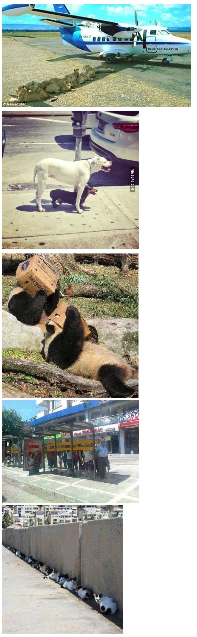 포스트의 이미지