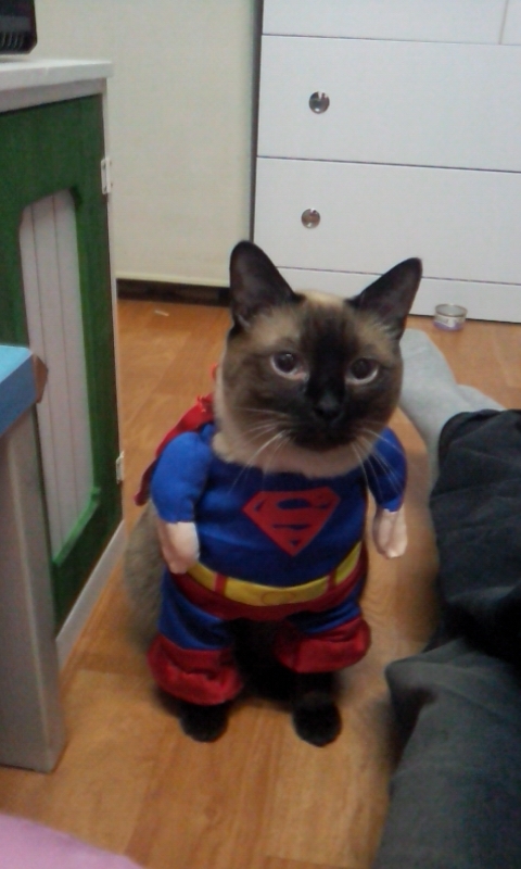 지구를구하러나가기전한컷!