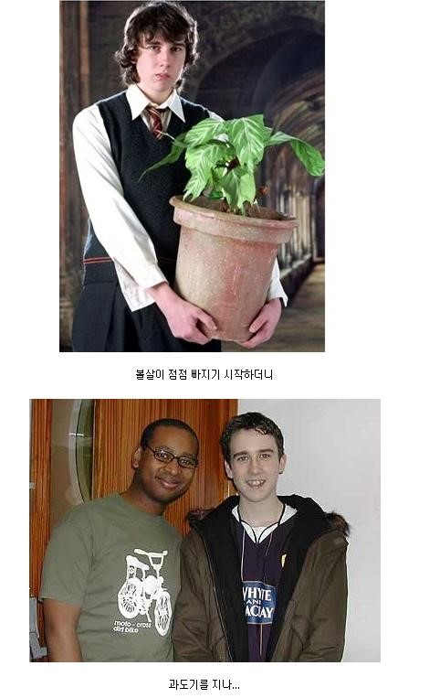 포스트의 이미지