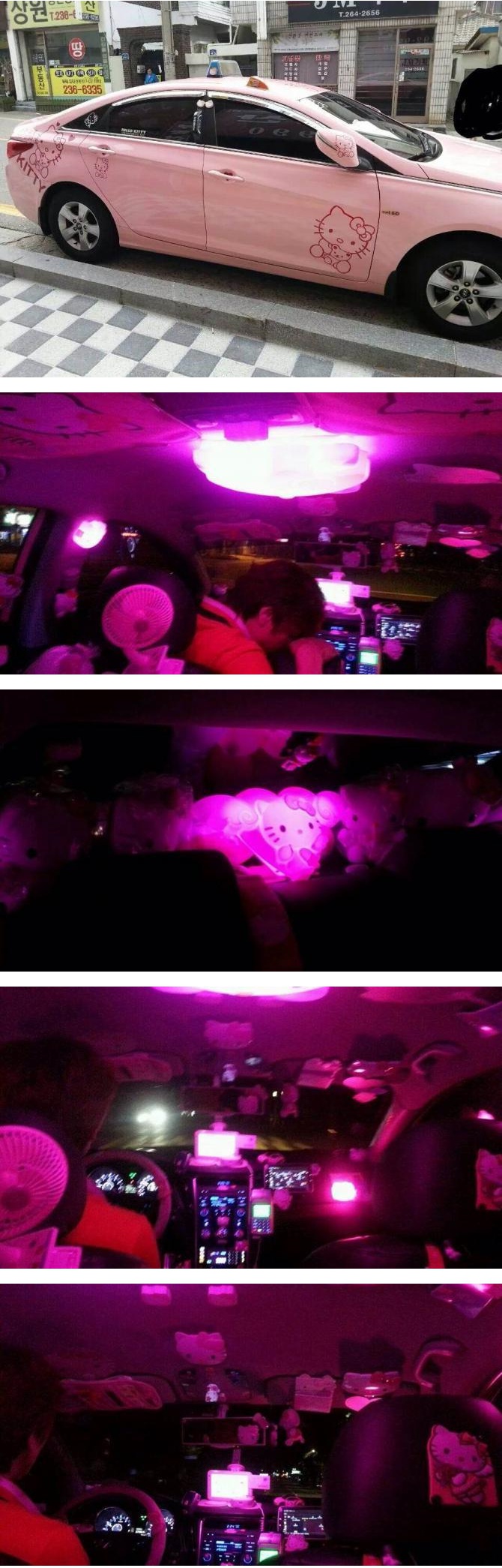 포스트의 이미지