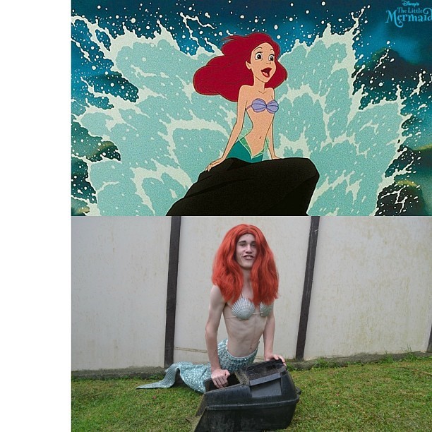 포스트의 이미지