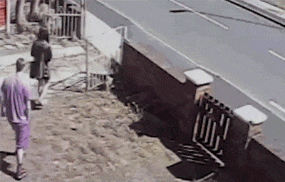 포스트의 이미지