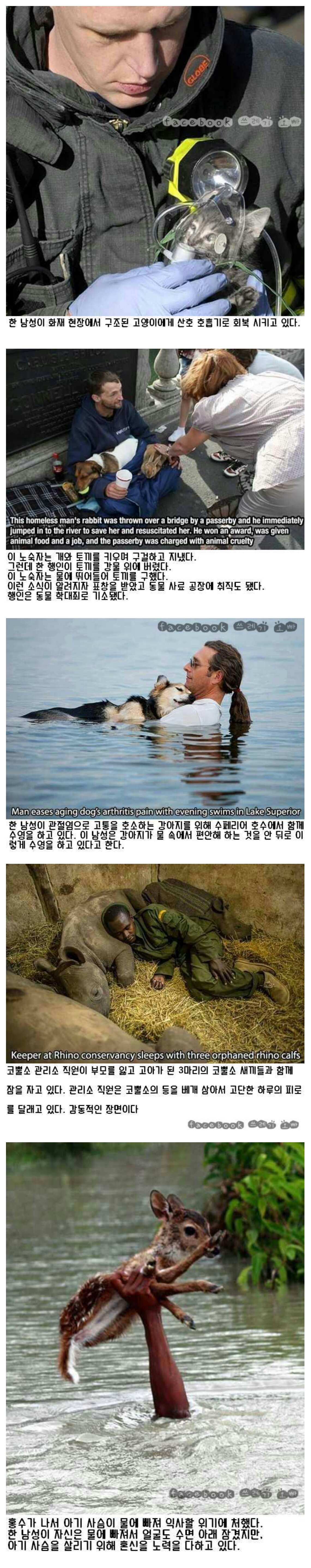 포스트의 이미지