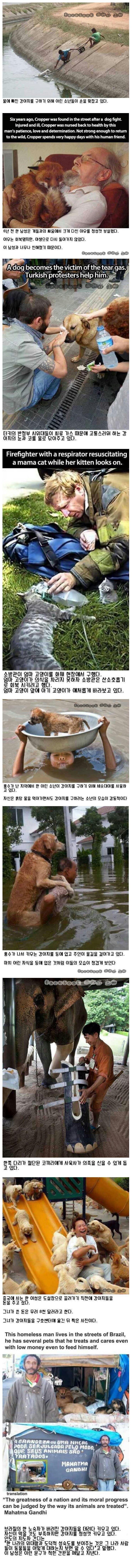 포스트의 이미지
