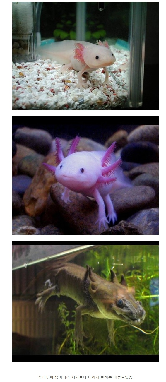 포스트의 이미지