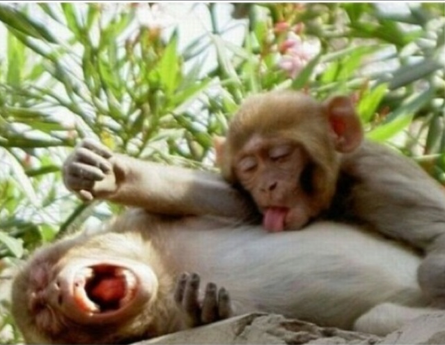 참을수있으면 참아봐