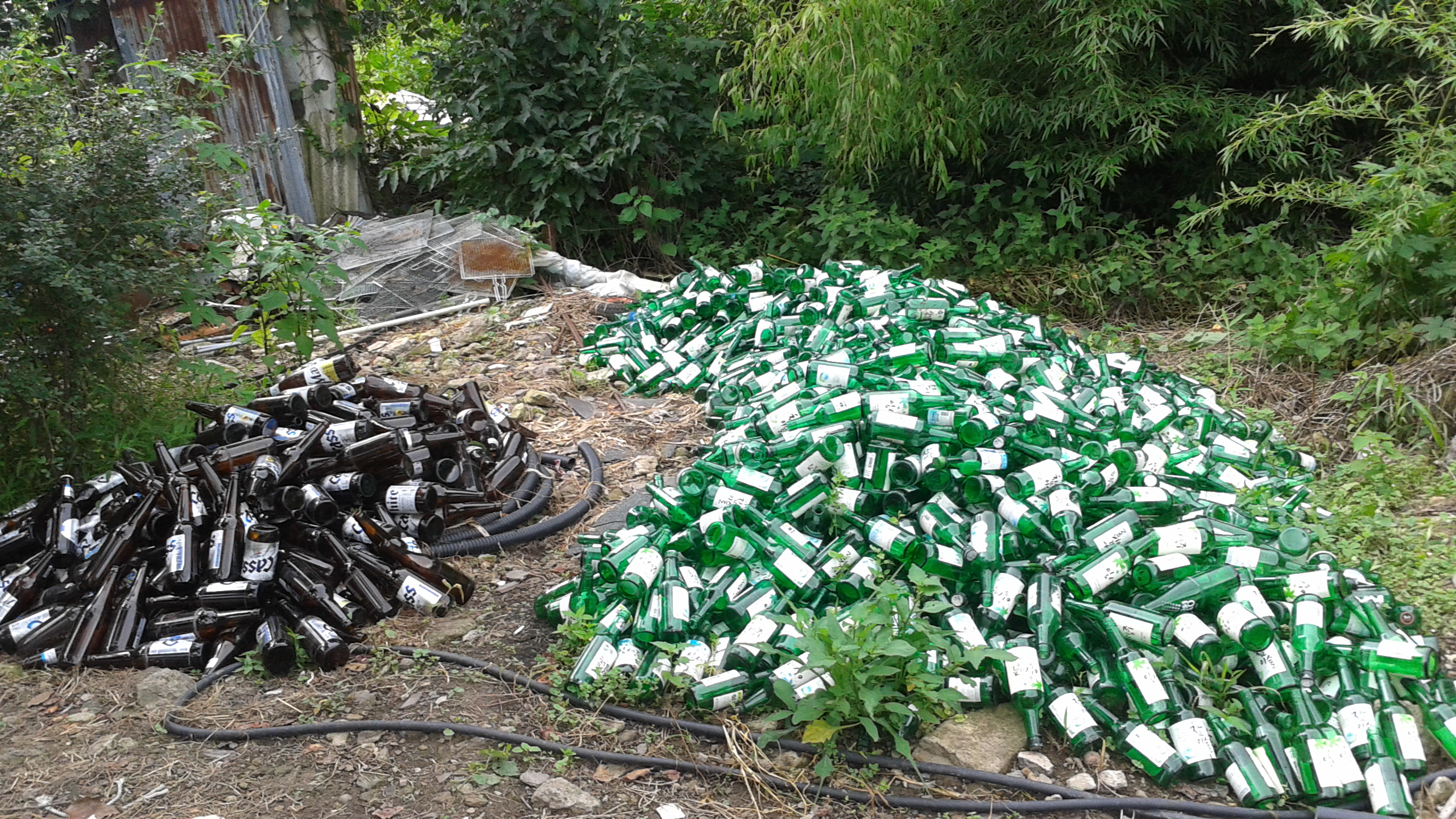 포스트의 이미지