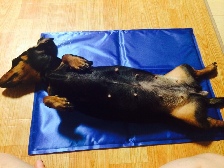 포스트의 이미지