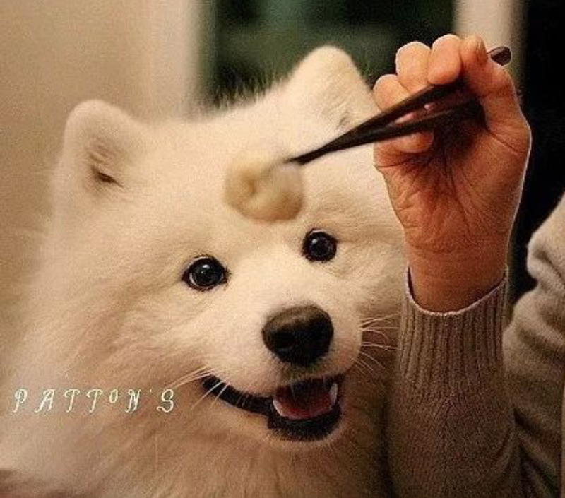 포스트의 이미지