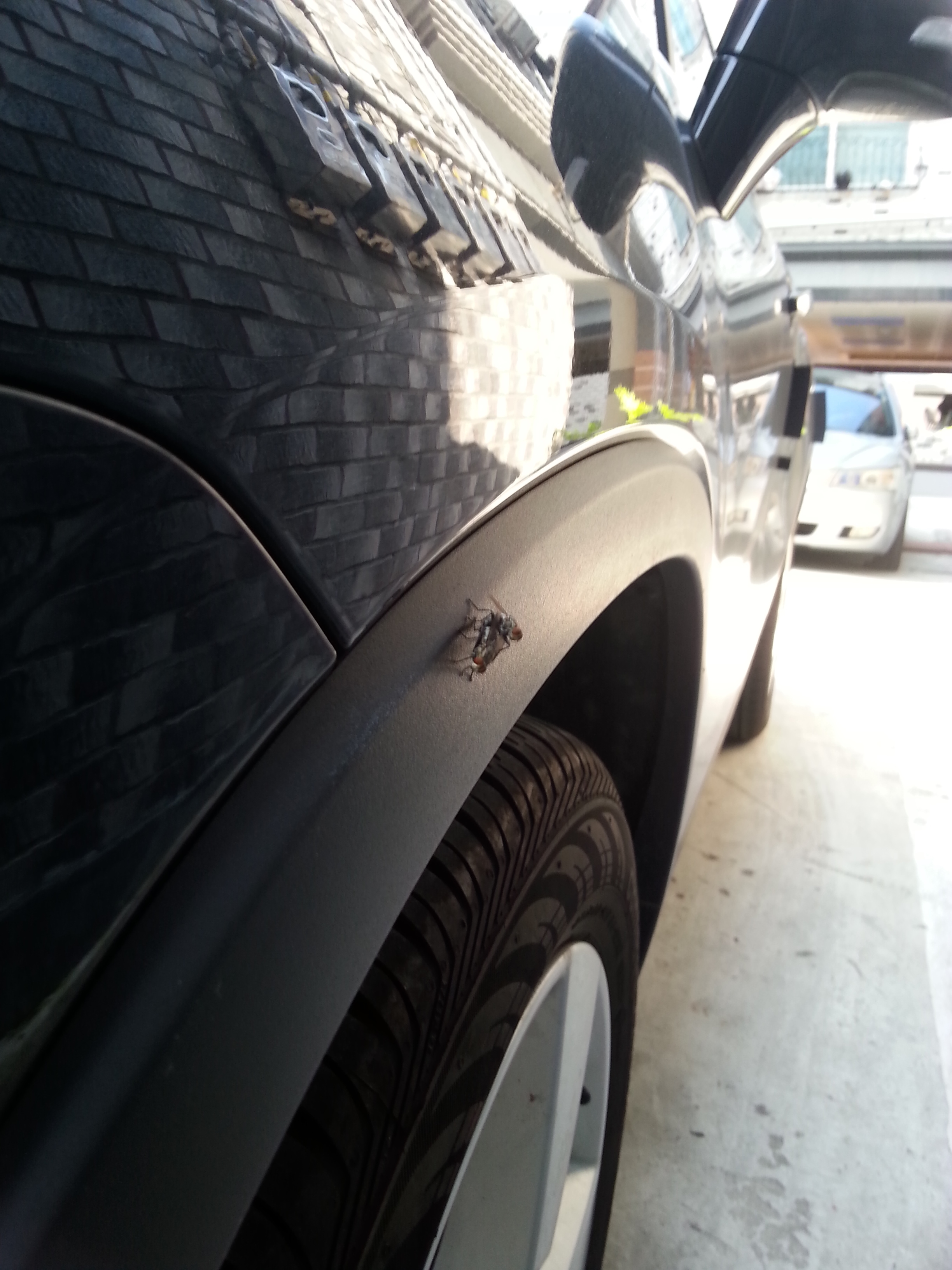 포스트의 이미지