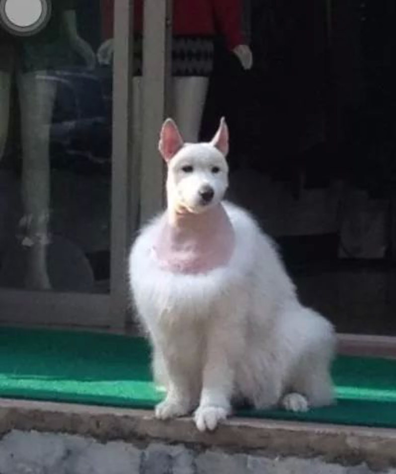 포스트의 이미지