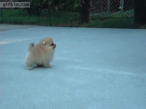 포스트의 이미지