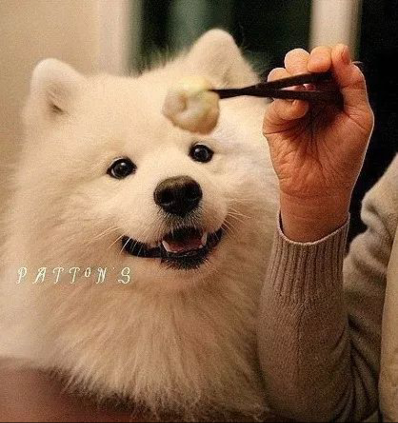 포스트의 이미지