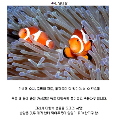 포스트의 이미지