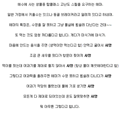 포스트의 이미지