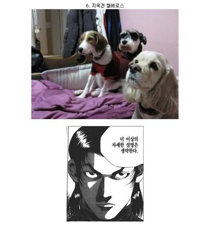 포스트의 이미지