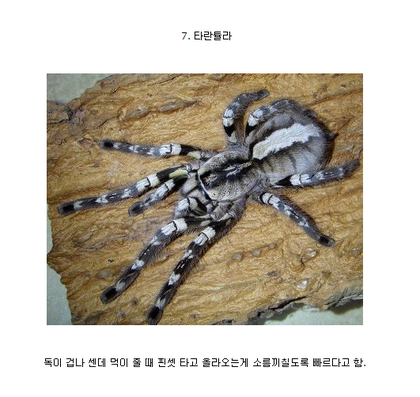 포스트의 이미지