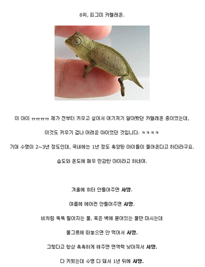 포스트의 이미지