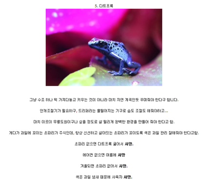 포스트의 이미지