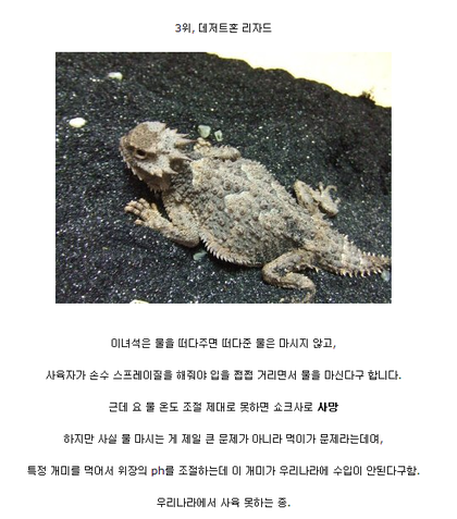 포스트의 이미지