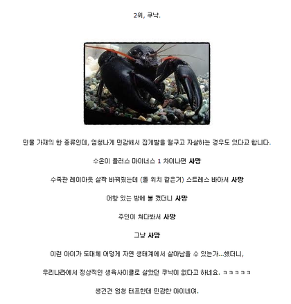 포스트의 이미지