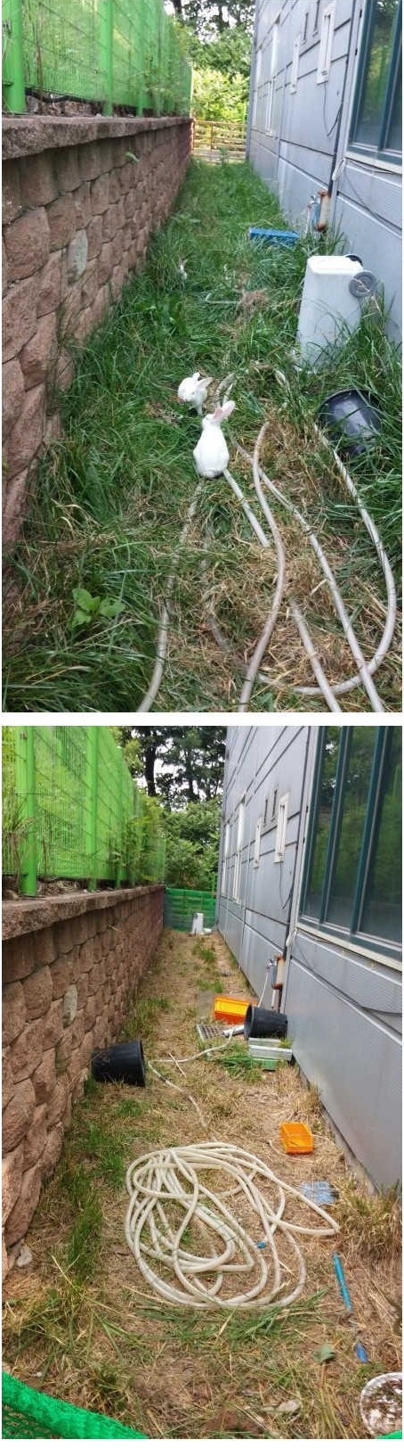 포스트의 이미지