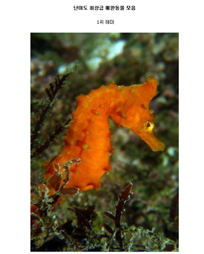 포스트의 이미지