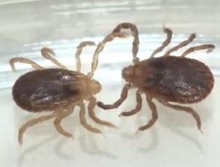 포스트의 이미지