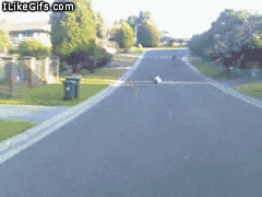 포스트의 이미지