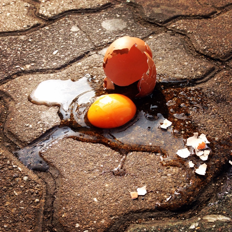 포스트의 이미지