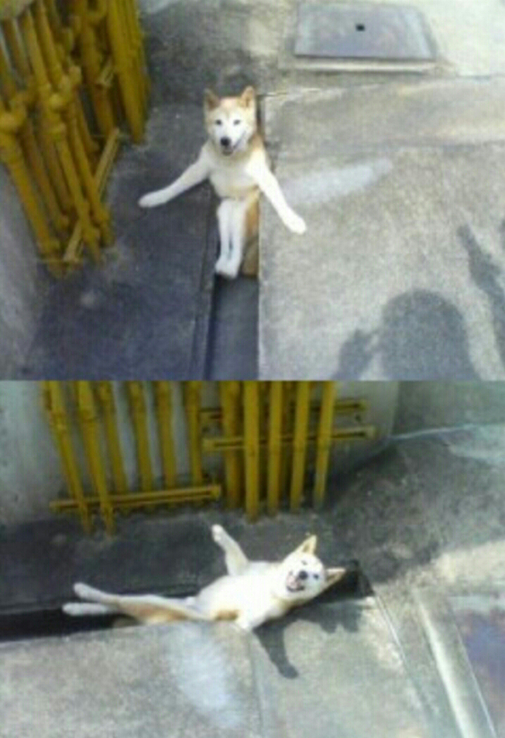 포스트의 이미지